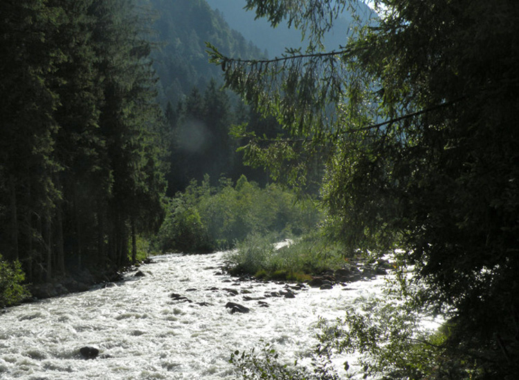 Dal fiume Sarca (TN)